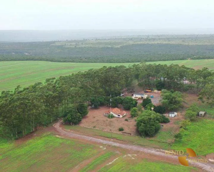 Fazenda com infraestrutura para duplo propósito.