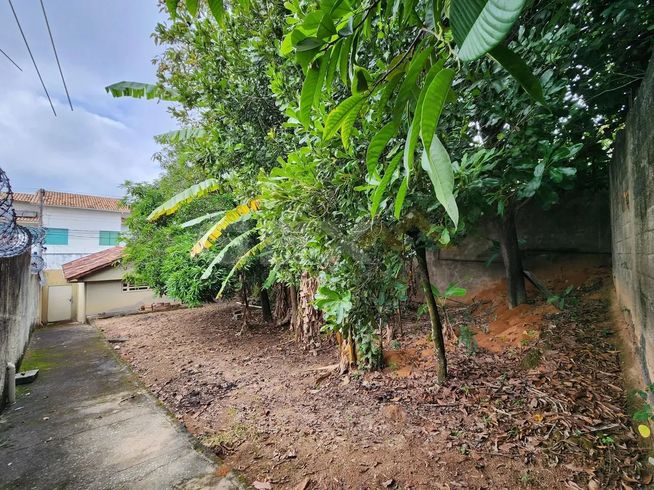 Lote à Venda no Bairro Belvedere com 276m²