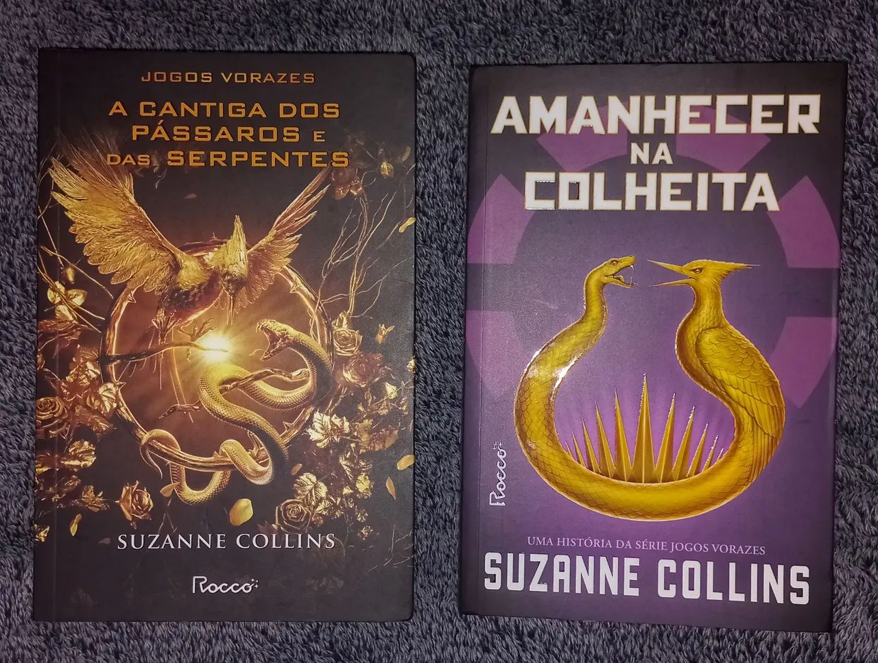  Jogos Vorazes - Suzanne Collins - Foto 4