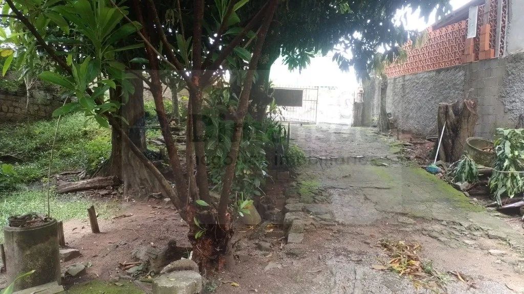 Terreno à venda em Florianópolis - Foto 7