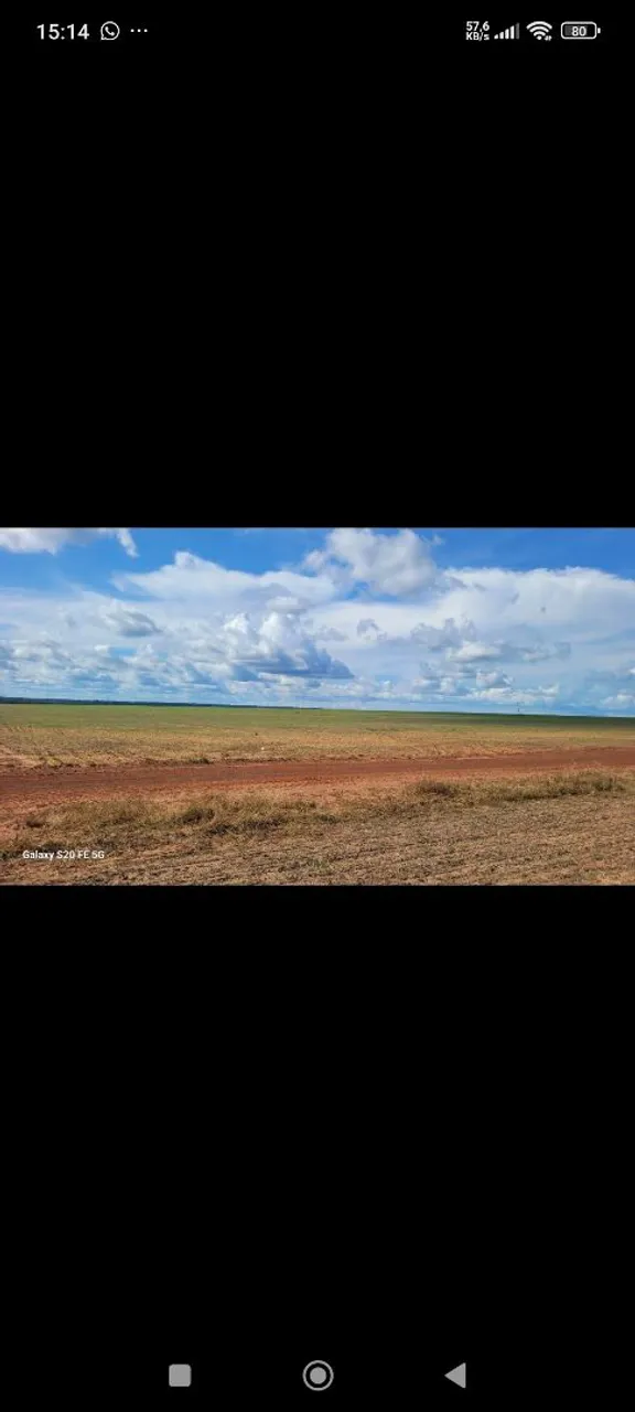 Fazenda arrendamento 3.000 hec em são José xingú MT.