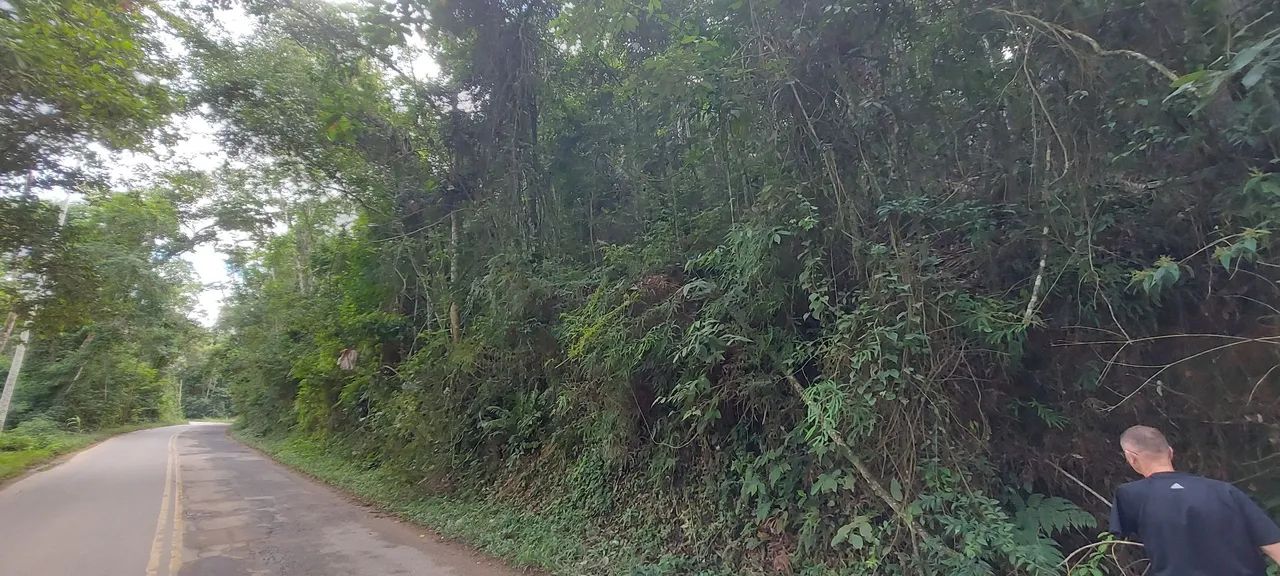 Área com 20.000 mts em Domingos Martins  - Foto 2