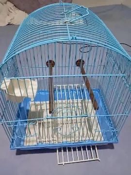 gaiola 64651272933121120