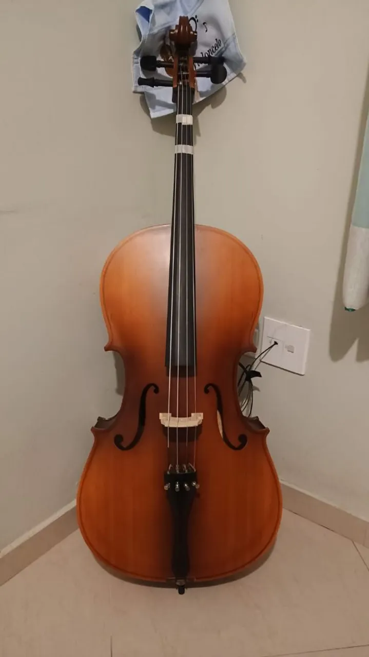 Violoncelo Acústico 4/4 Hoyden