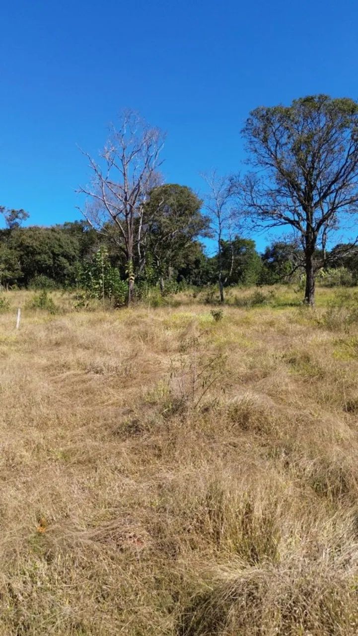 CHÁCARAS FINANCIAMENTO PRÓPRIO RIO MANSO - Foto 3