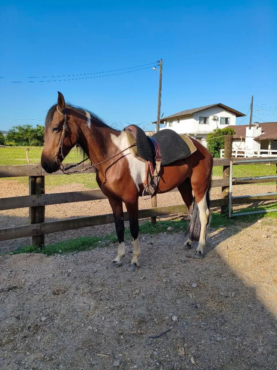 Égua manga larga máquina de marchar  - Foto 3