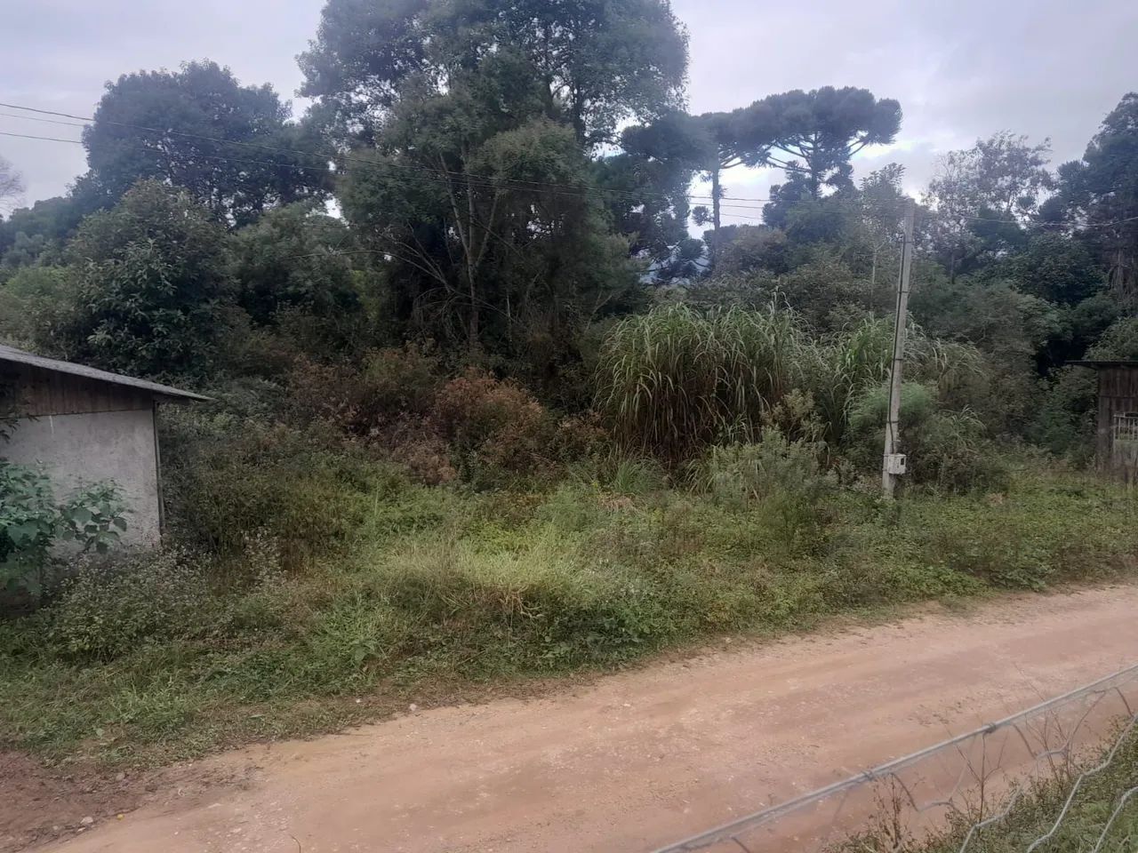 Vendo terreno medindo meio alqueire com galpao de 600 metros , luz instalada nascente agua - Foto 3