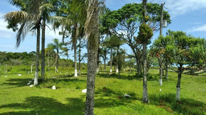 Terreno - IGUAPE (484.000mt²) Área Urbana IDEAL PARA LOTEAMENTO