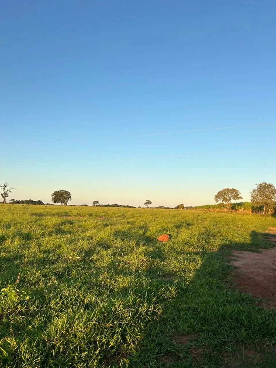 Fazenda de 97 alqu Aparecida do Tabuado - Foto 5