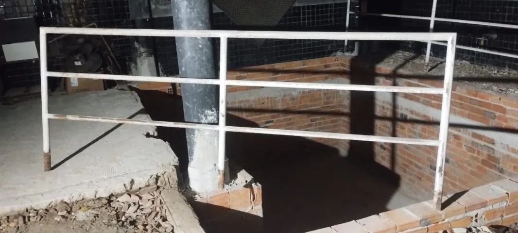 Guarda Corpo - Foto 3