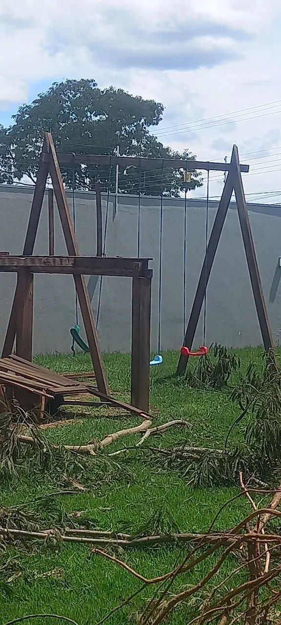 Poda e corte de árvores em geral  - Foto 3