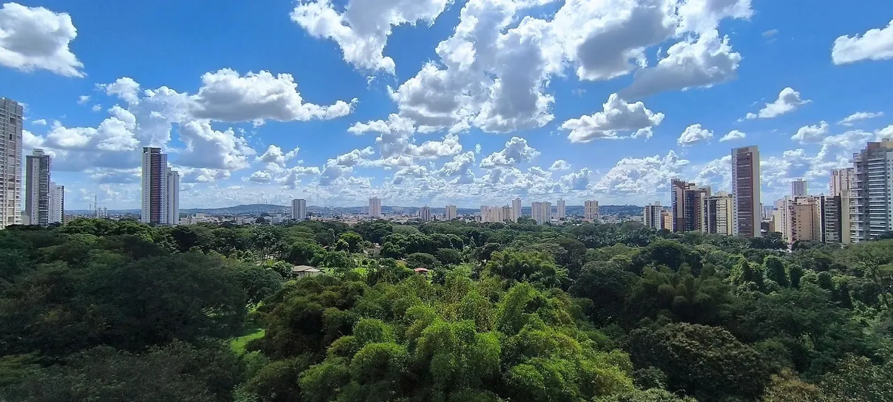 Setor Oeste- Em Alameda das Rosas 178m², sedo 3 suítes, 3 vagas gaveta+ escaninho.