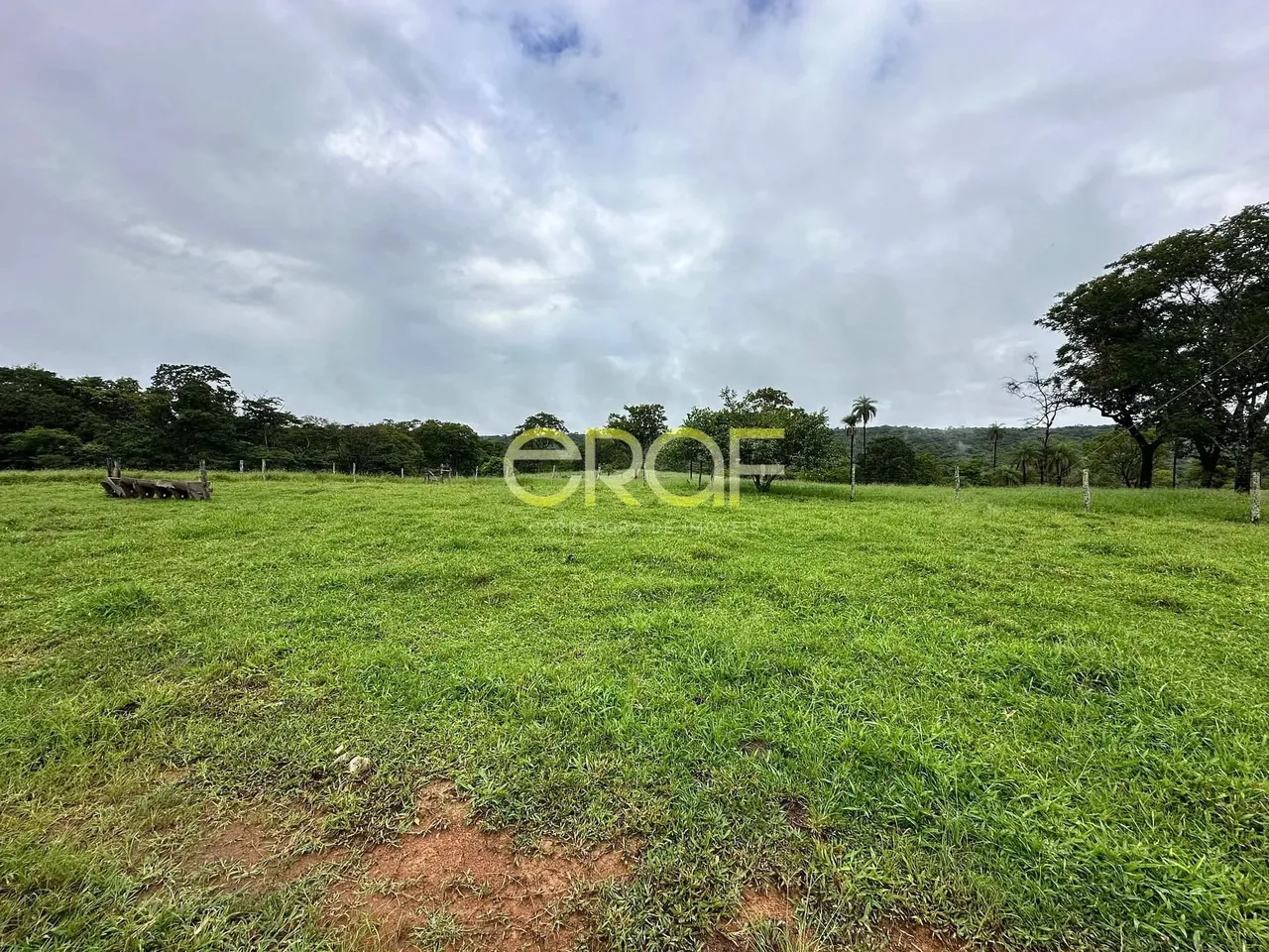 Fazenda à venda, Zona Rural, Formosa, GO