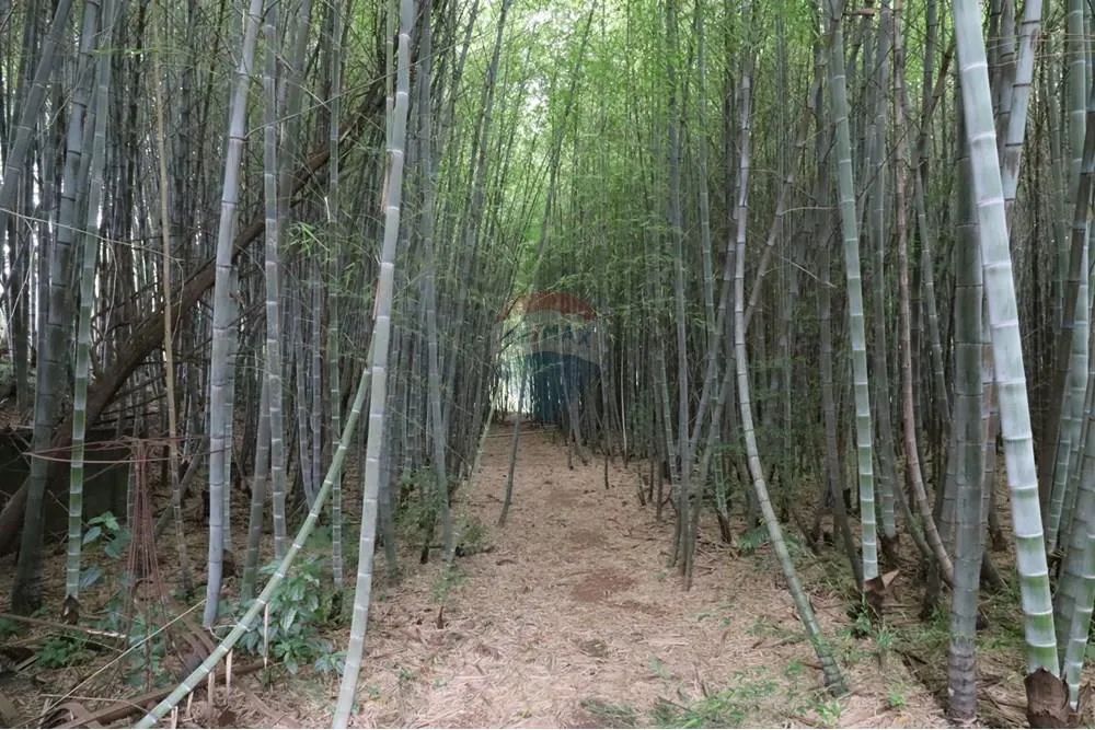 Sítio à venda em Atibaia - Foto 5