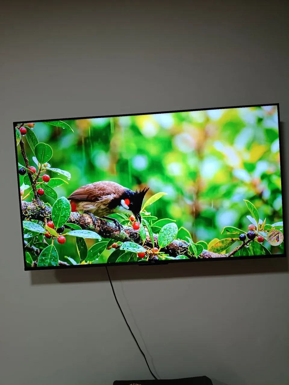 TV TCL 55 polegadas led uhd 4k tcl 55p635 - Foto 2