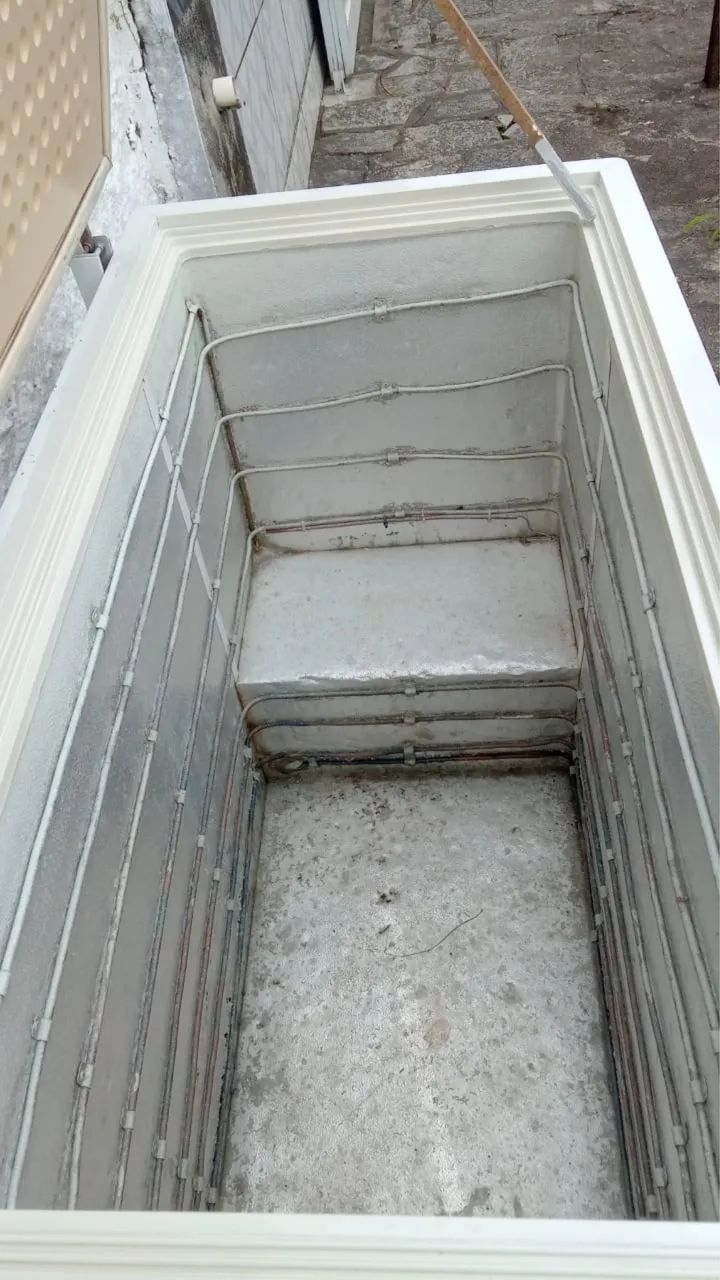 Freezer (baixei) - Foto 2