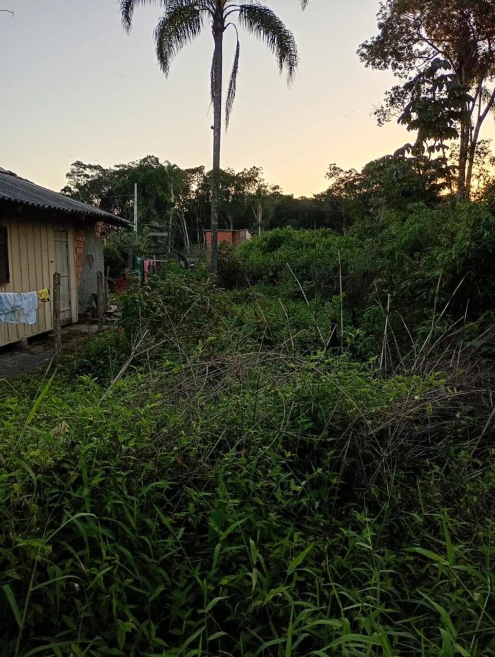 Terreno a venda  - Foto 3