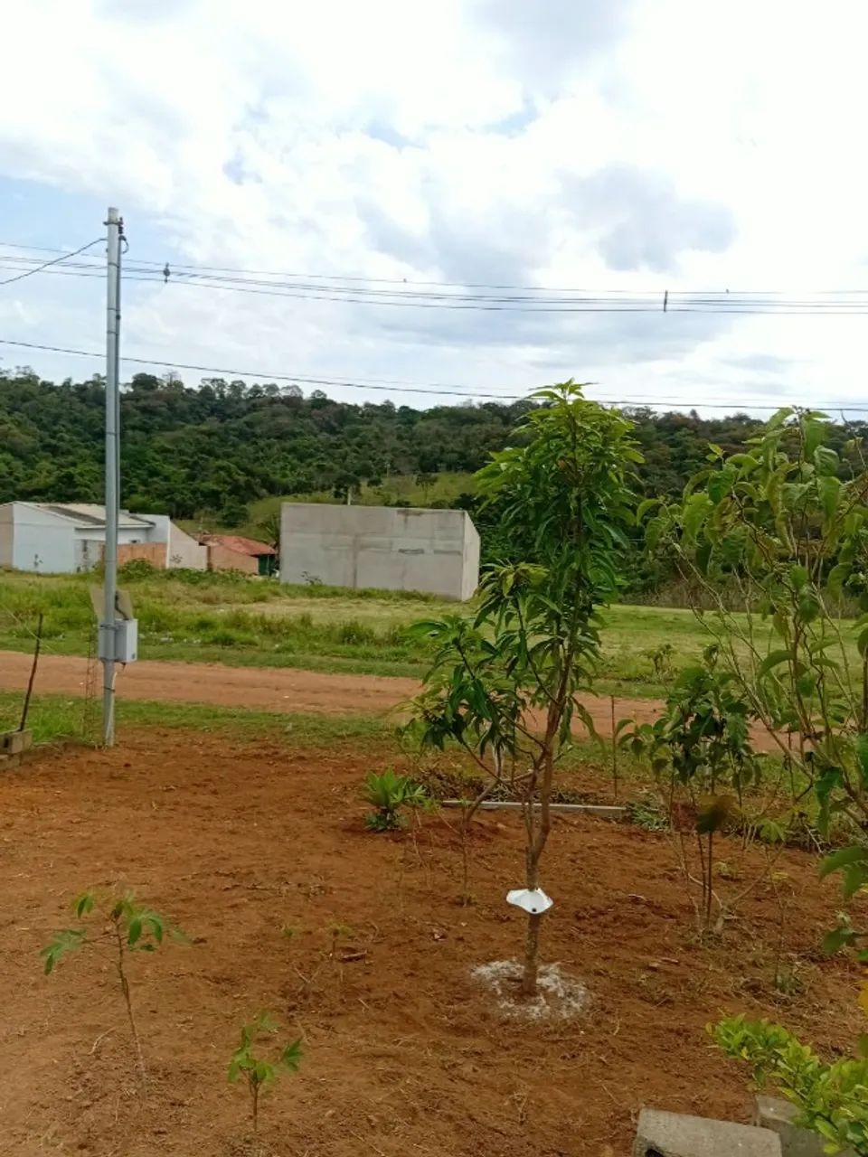 Rancho MG - Foto 4
