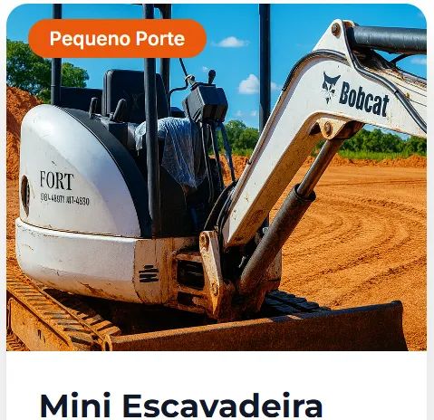 Aluguel de maquinas de construção Mini Escavadeira 