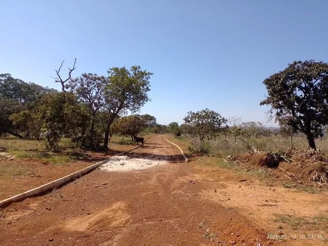 ÁREA DE 14 HECTARES PARANOÁ DF - Foto 4