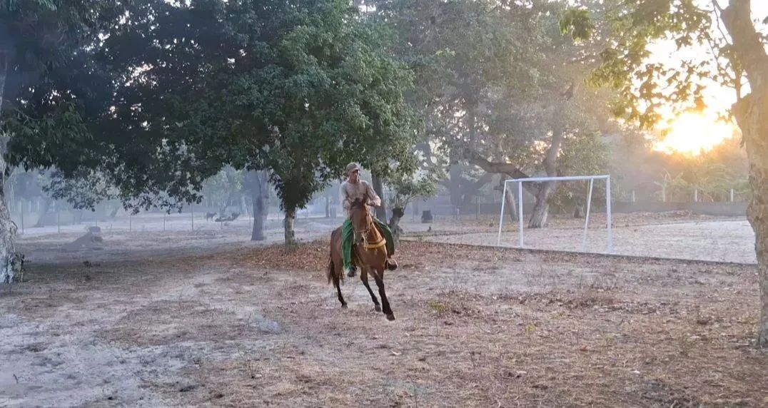 Cavalo Manga Larga - Foto 2