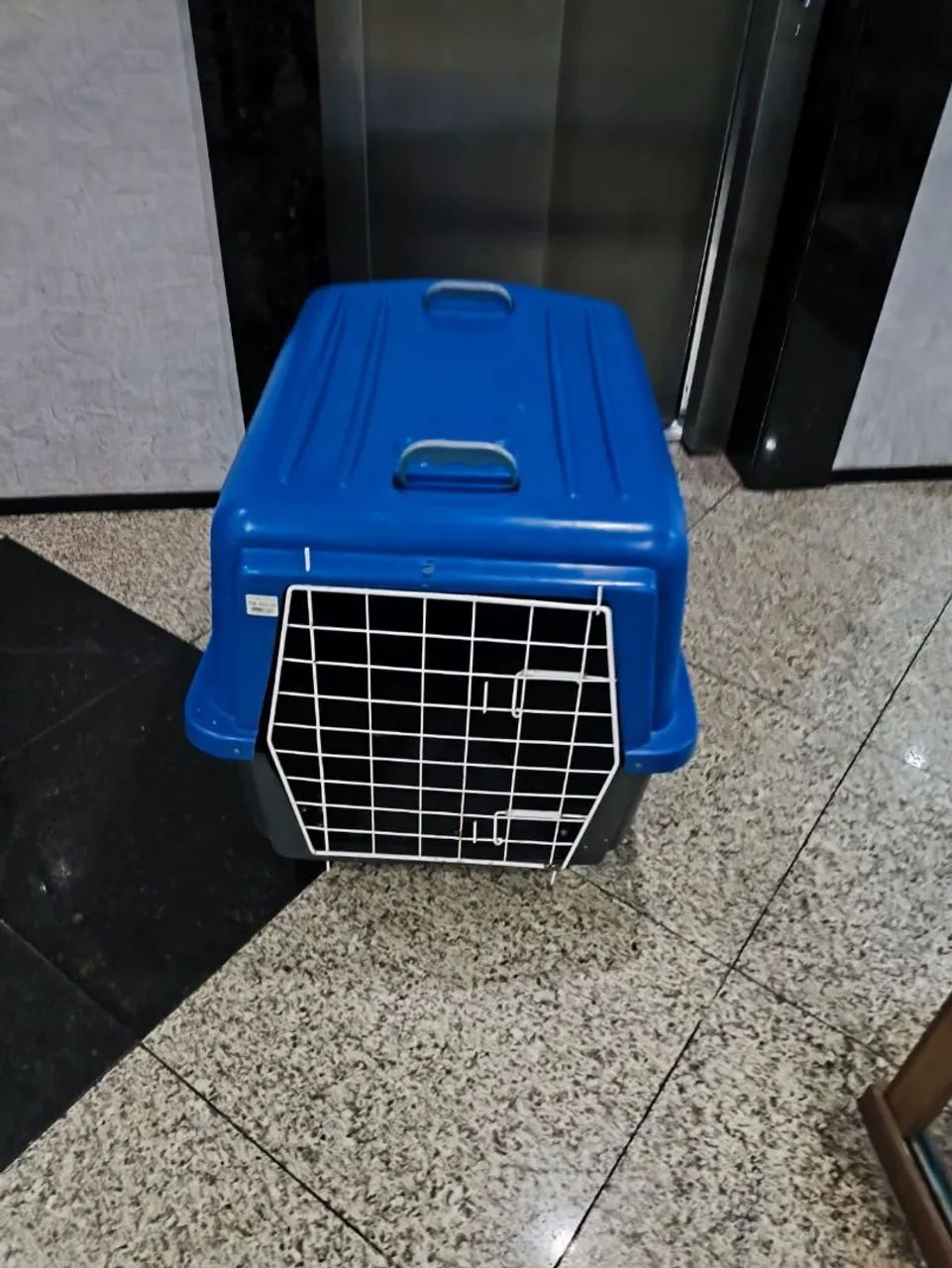 Caixa de Transporte Pet Grande nº 5 - Usada apenas 2 vezes - Ótimo estado