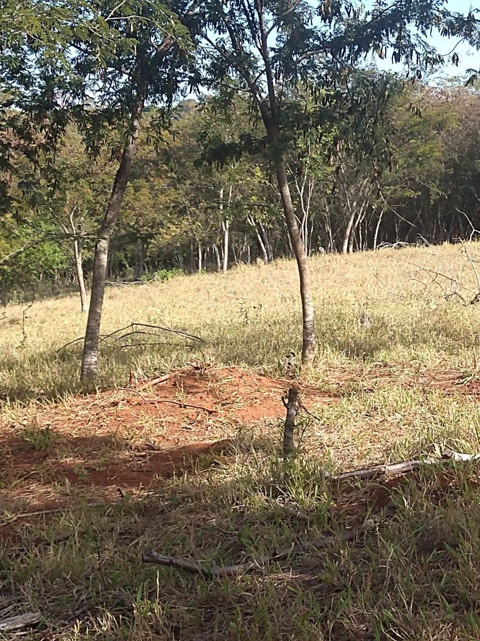 Terreno  - Foto 5