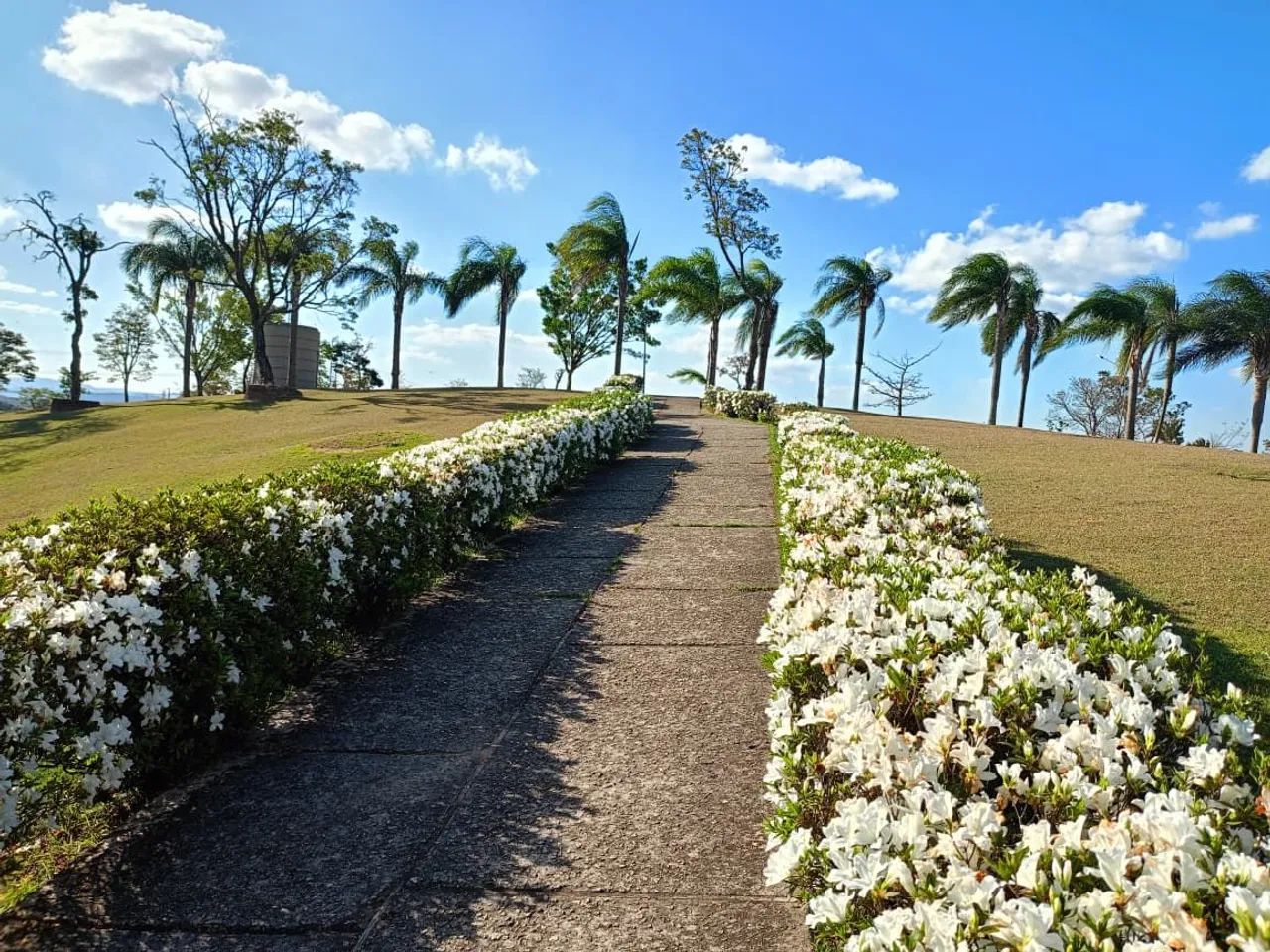 Vendo jazigo Cemitério Parque das Garças - Foto 2