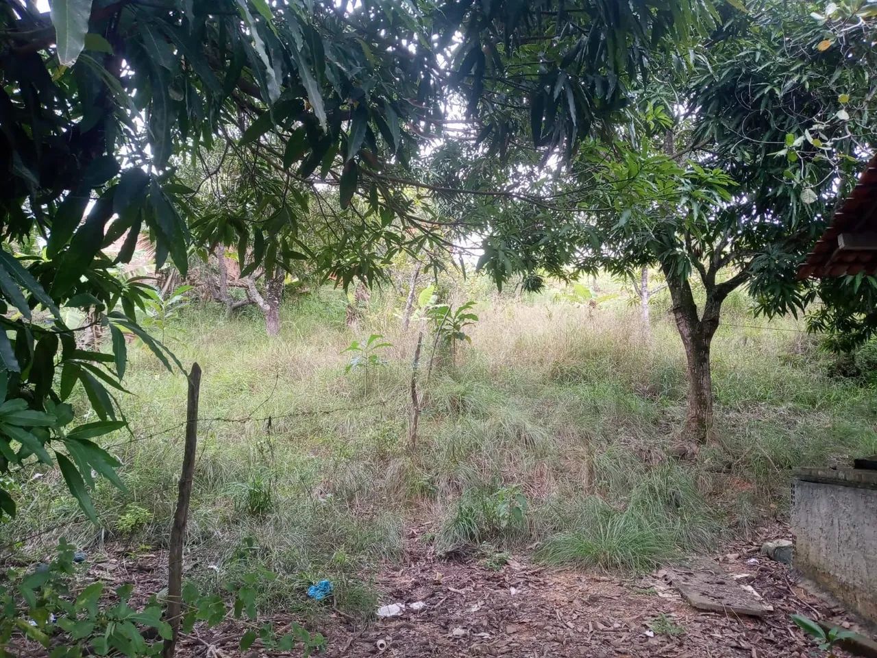Terreno 