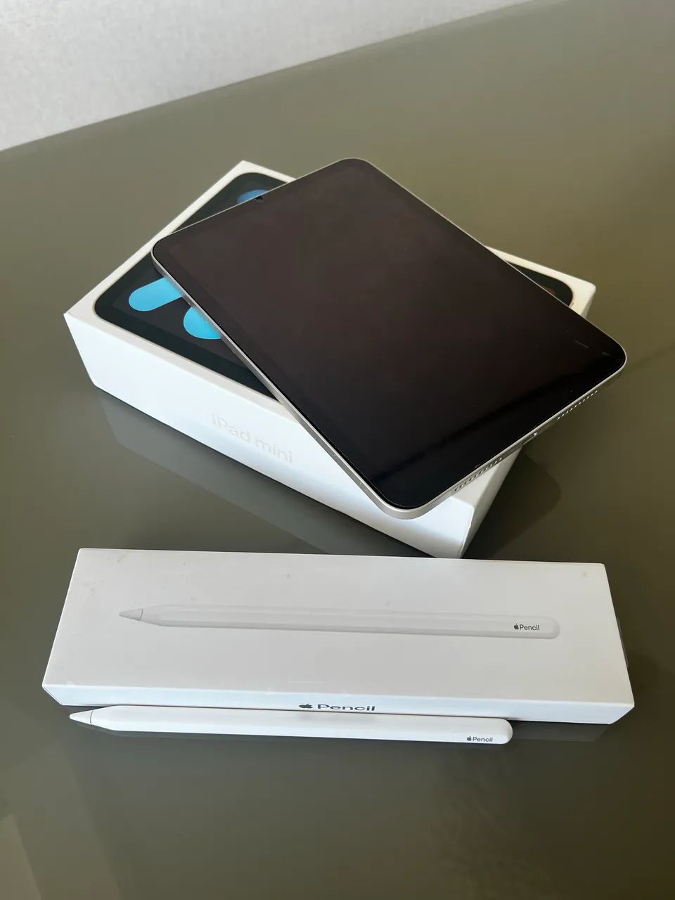Ipad Mini 6ª geração + Apple Pencil - Notebooks - Centro