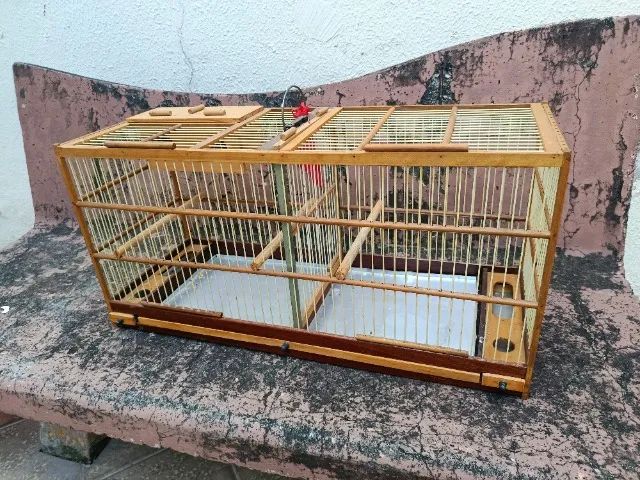 Gaiola de madeira, criadeira, malha fina - Foto 3