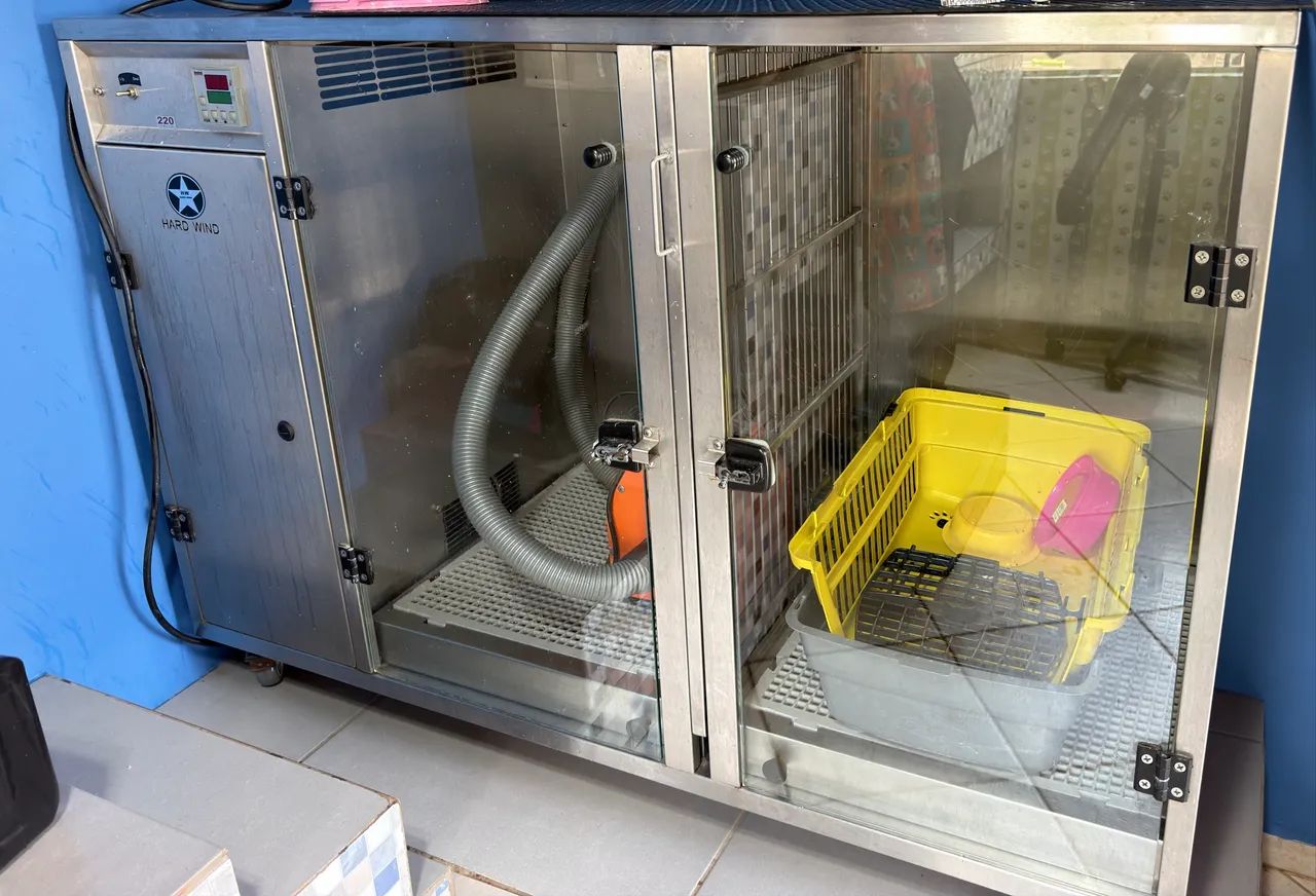 Máquina para secar cachorro 