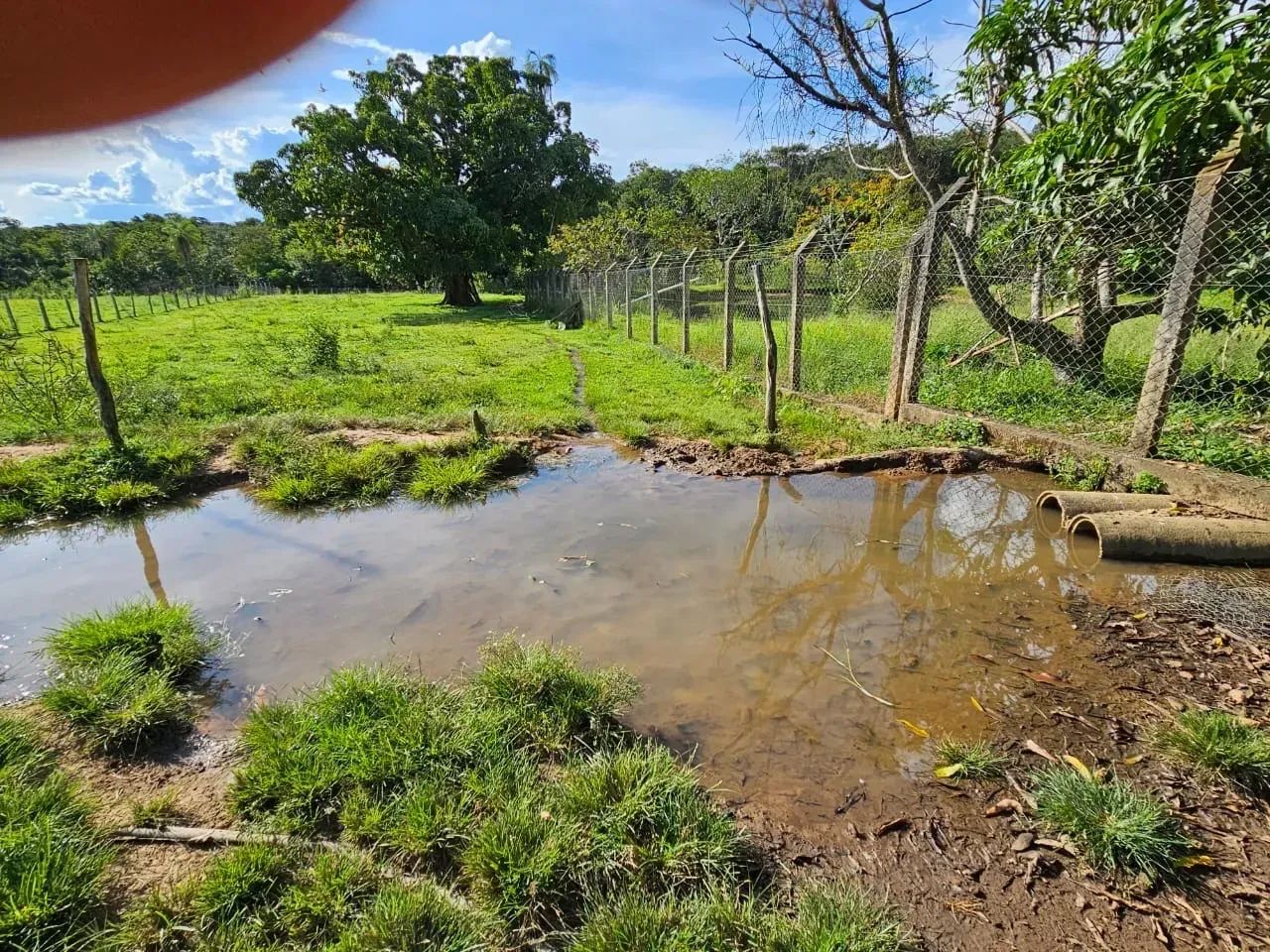Fazenda 5.5 Alqueires - Foto 4