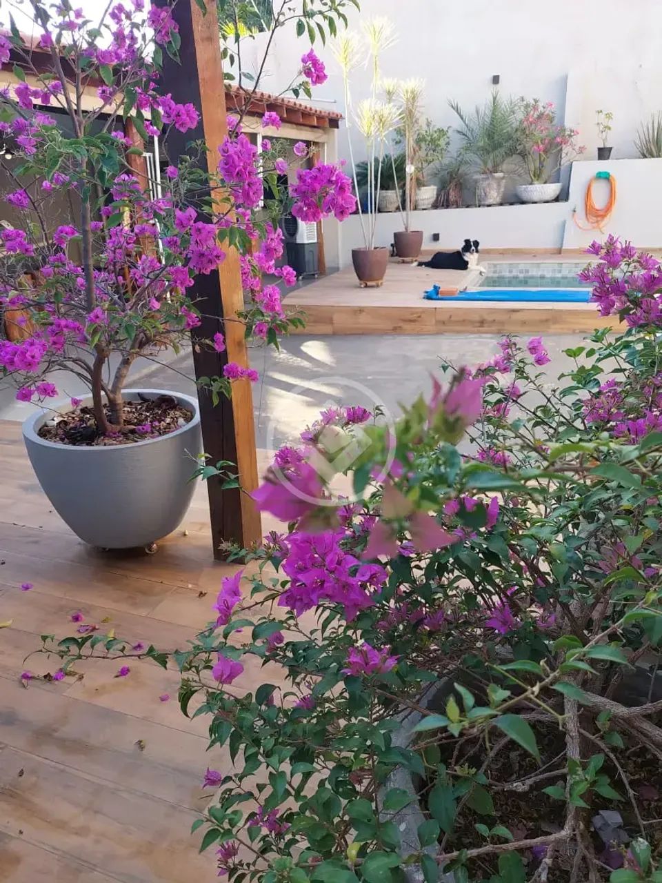 CASA COMPLETA, REFORMADA E PRONTA PARA MORAR! codigo: 319920 - Foto 2