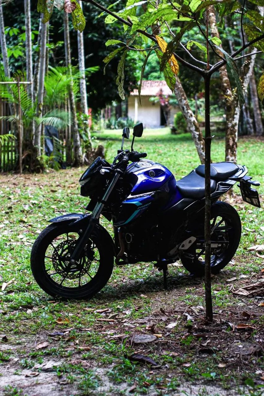 FZ25