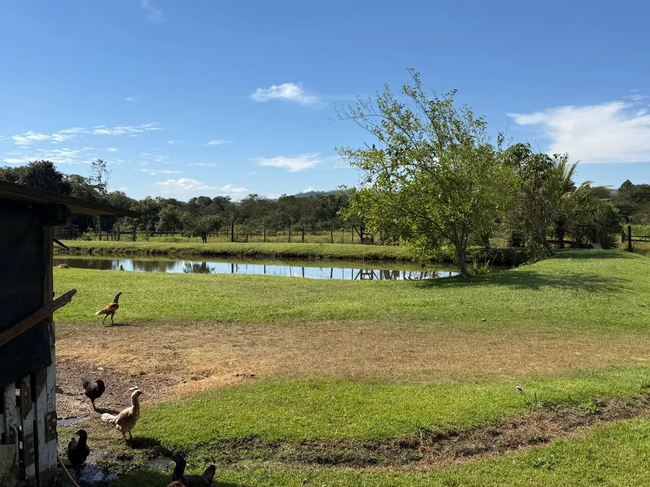 Sítio entre Cravinhos e serra azul  - Foto 3