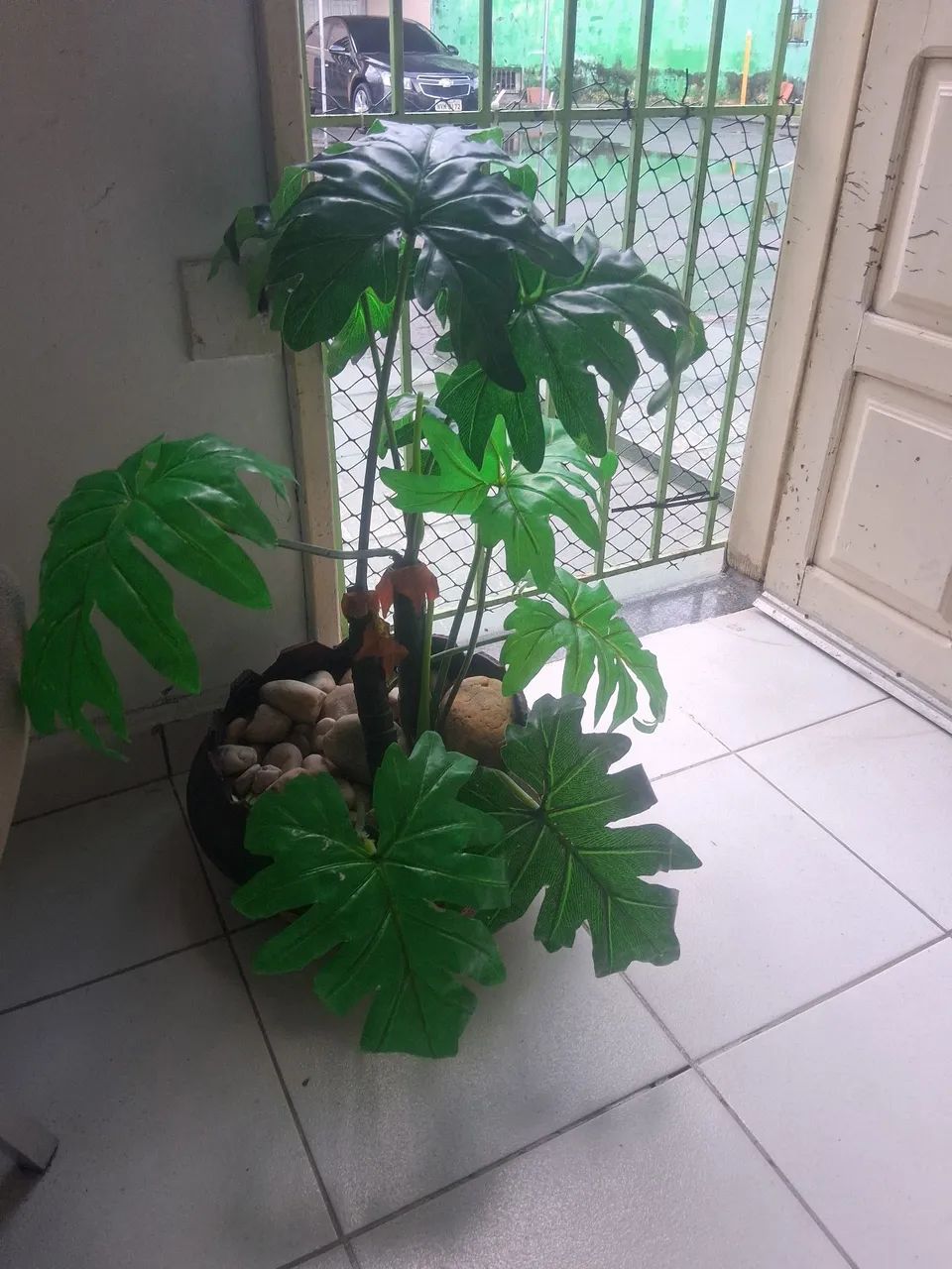 Planta e vaso ornamental