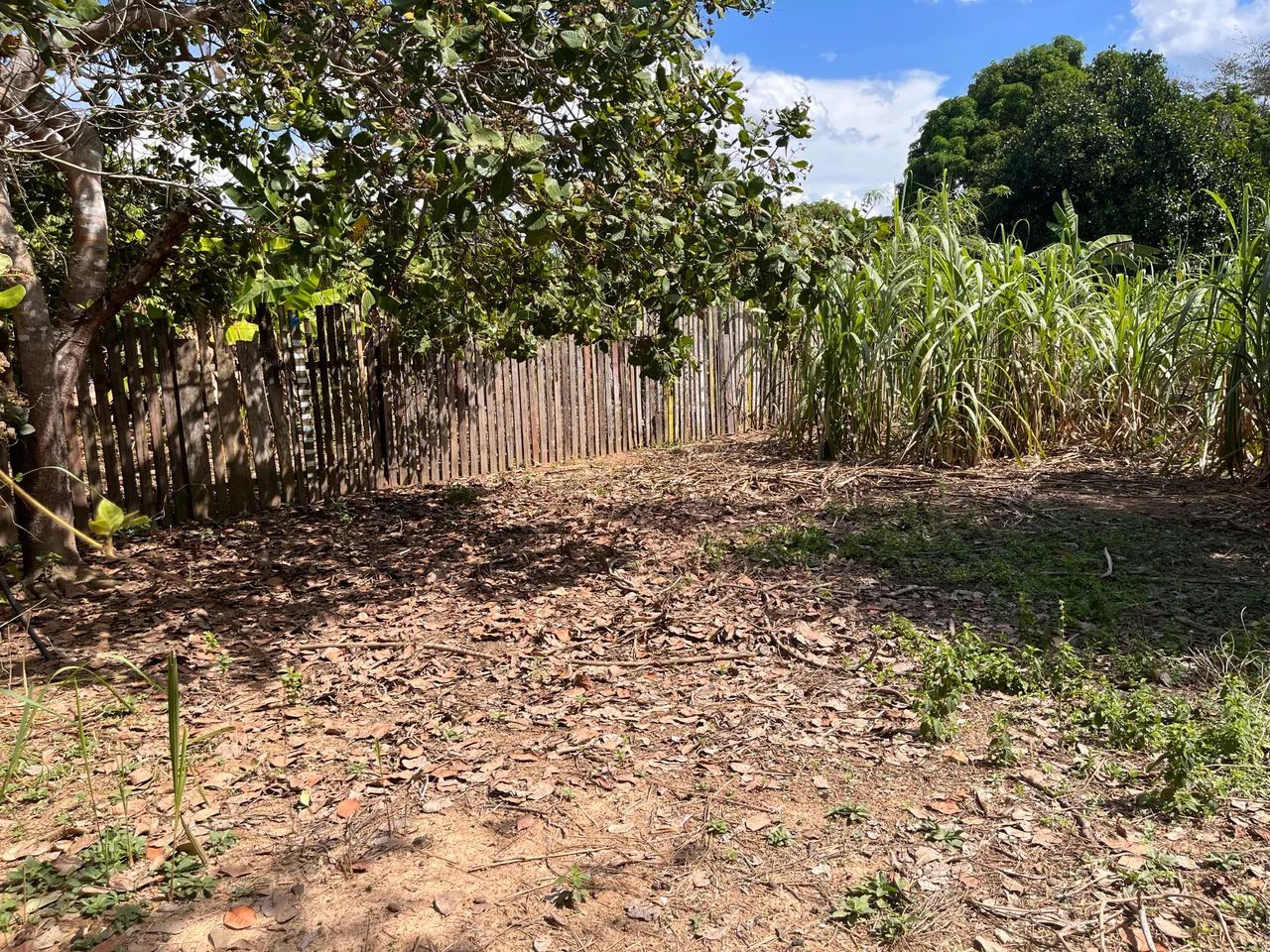 Terreno no ramal da castanheira  - Foto 5