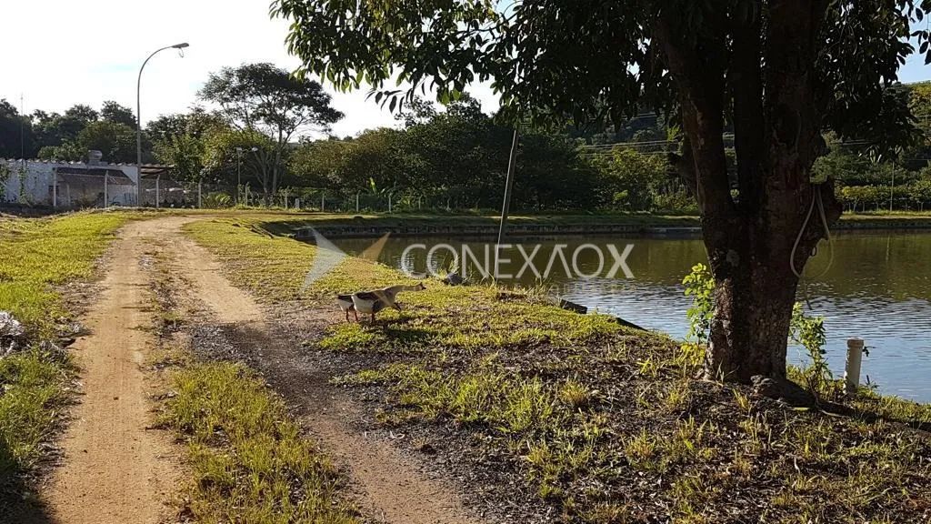 chácara - Sousas - Campinas - Foto 5