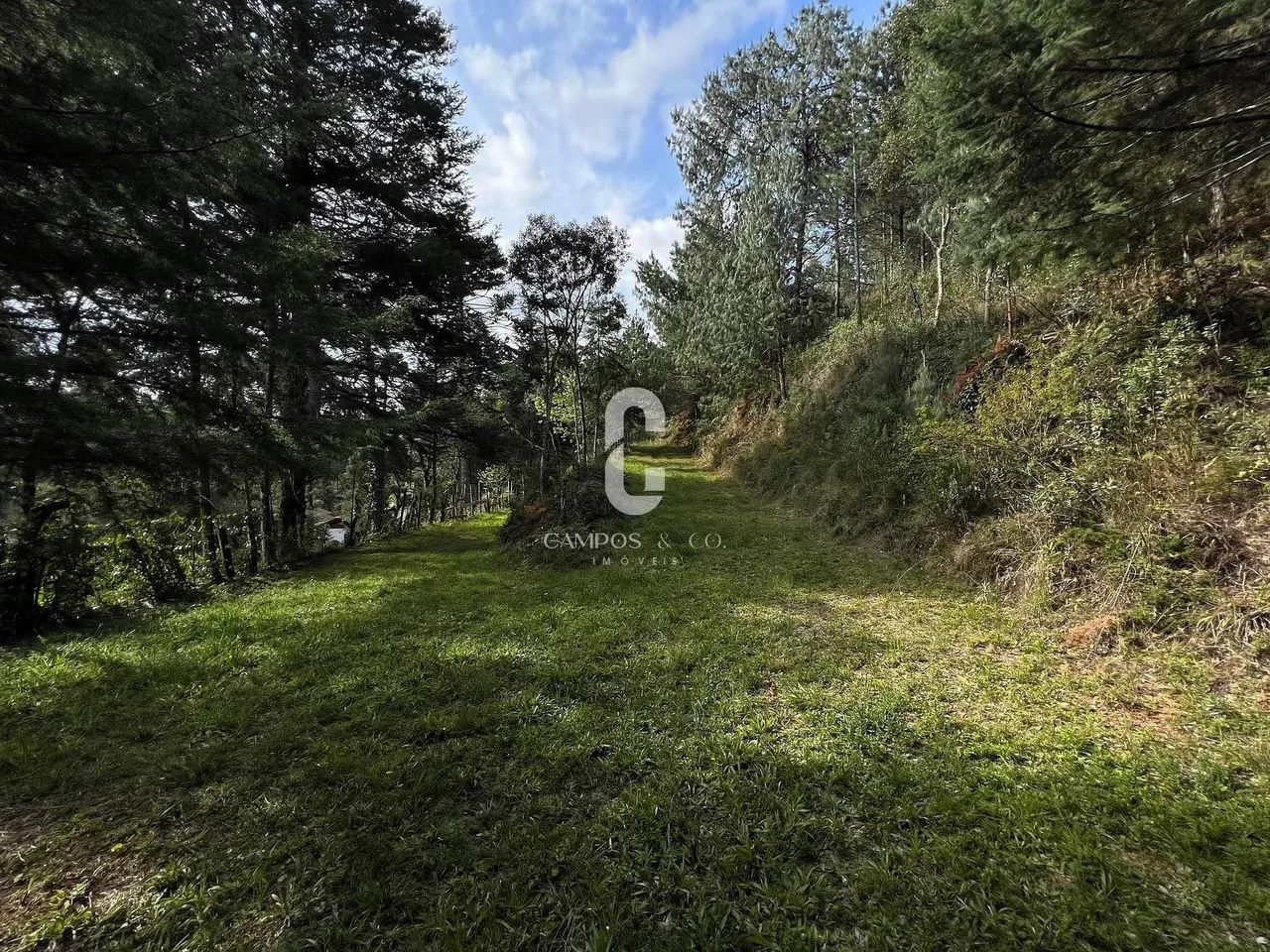 Área para incorporação à venda, 16.805 m², R$ 8.000.000,00, ao lado do Cantrinho do Capiva - Foto 8