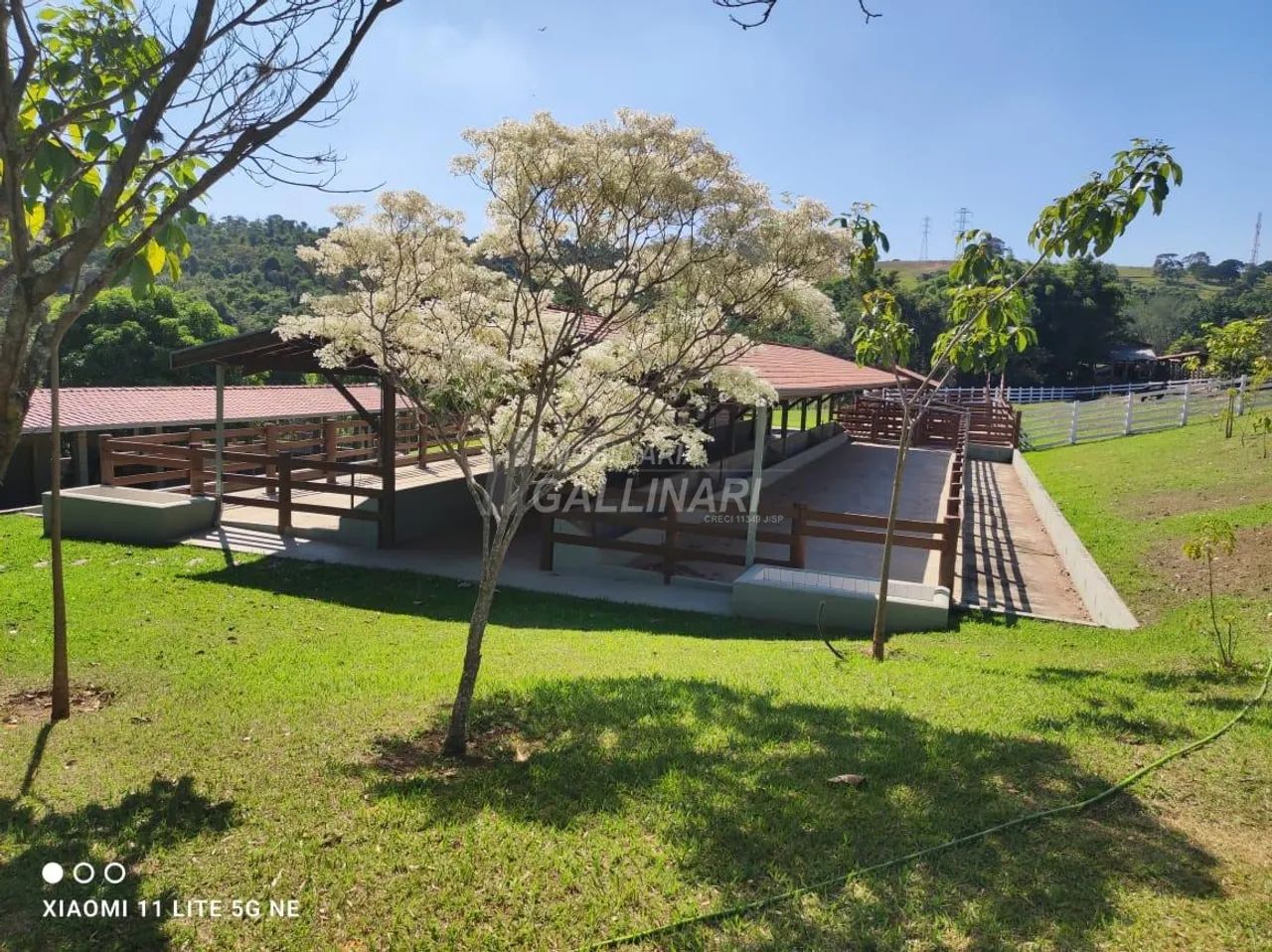 sítio - Área Rural de Cosmópolis - Cosmópolis - Foto 2