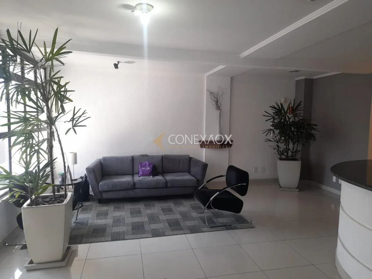 sala - Bosque - Campinas - Foto 5