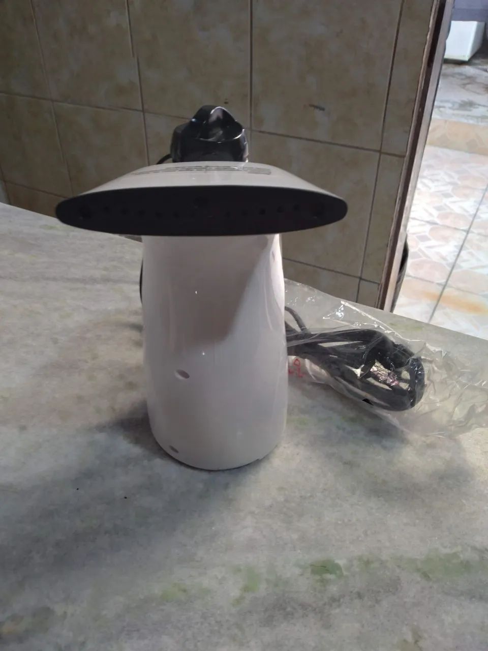 Passador de roupas a vapor
