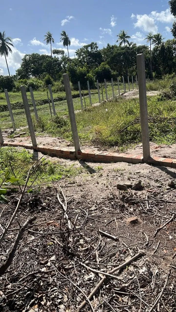 TERRENO EM SANTO AMARO - Foto 2