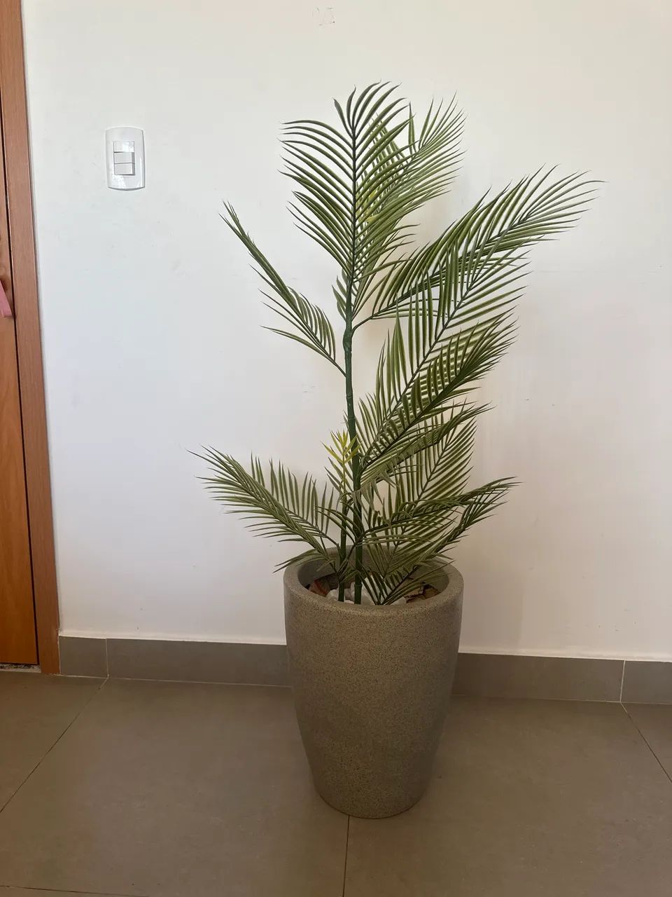 Vendo vaso com planta  - Foto 5