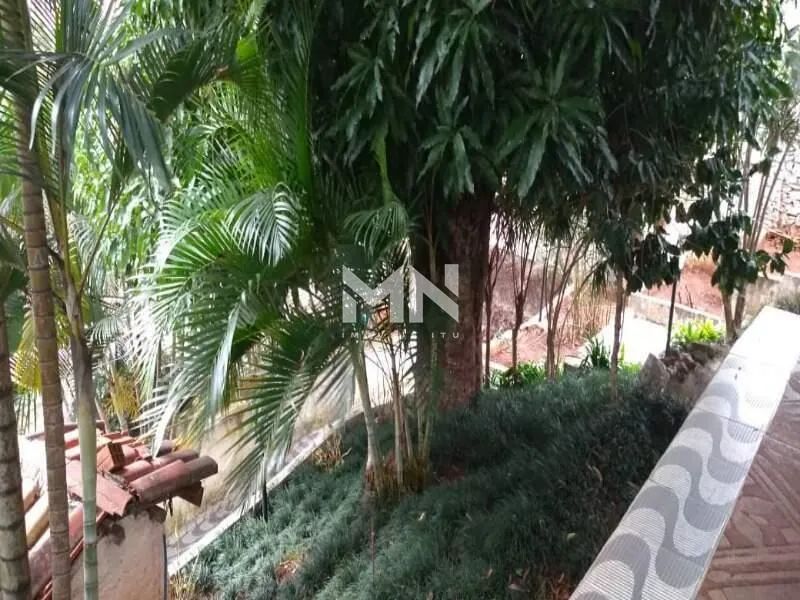 Chácara a venda, VILA DOMINGUINHO - 1.000 m² - Foto 2