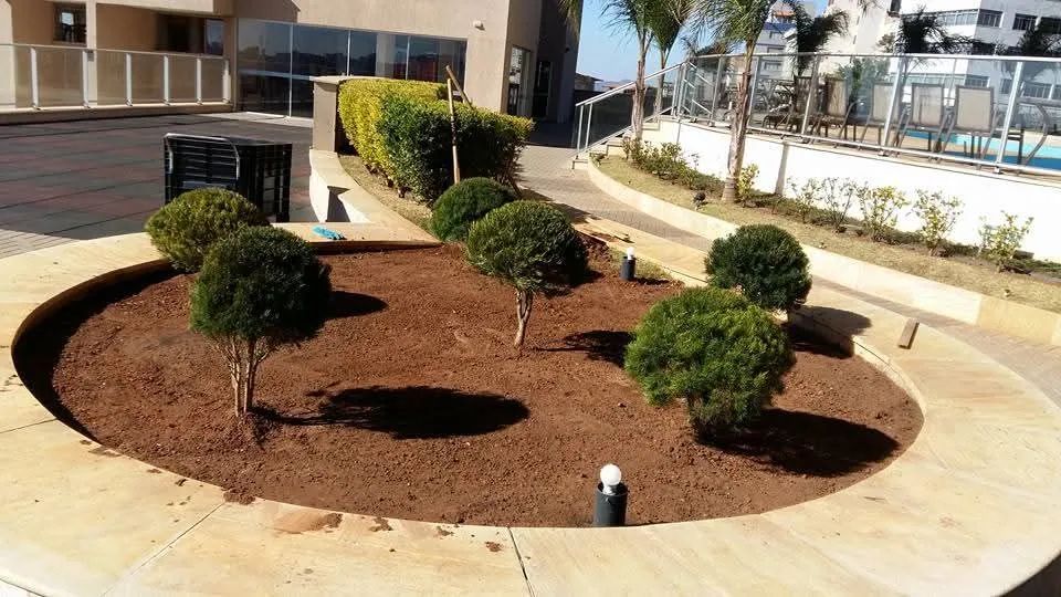SERVIÇO JARDINAGEM ROÇADEIRA / BH  - Foto 2