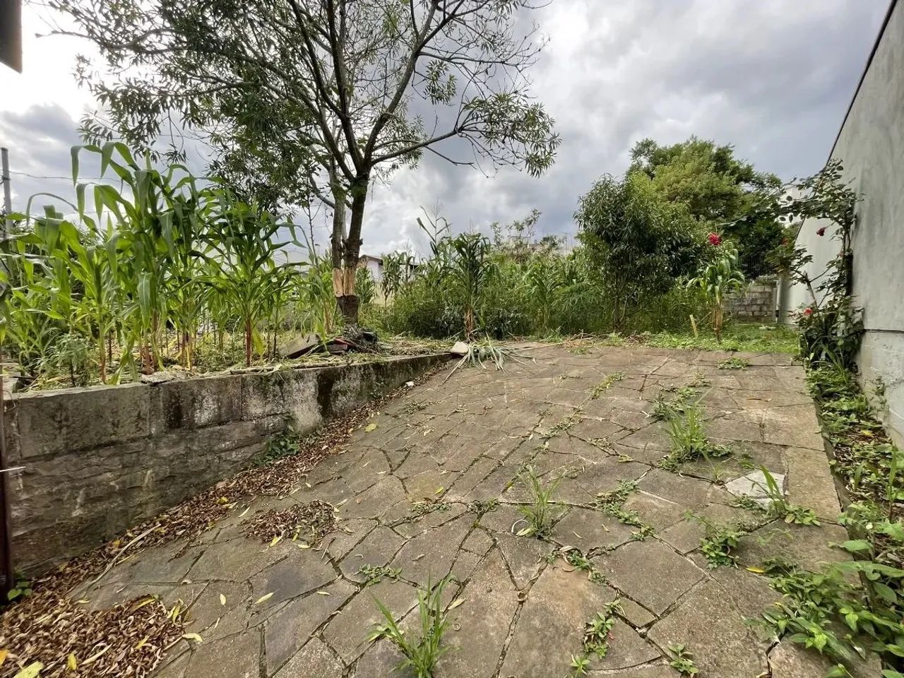 CAXIAS DO SUL - Terreno Padrão - COLINA SORRISO - Foto 3