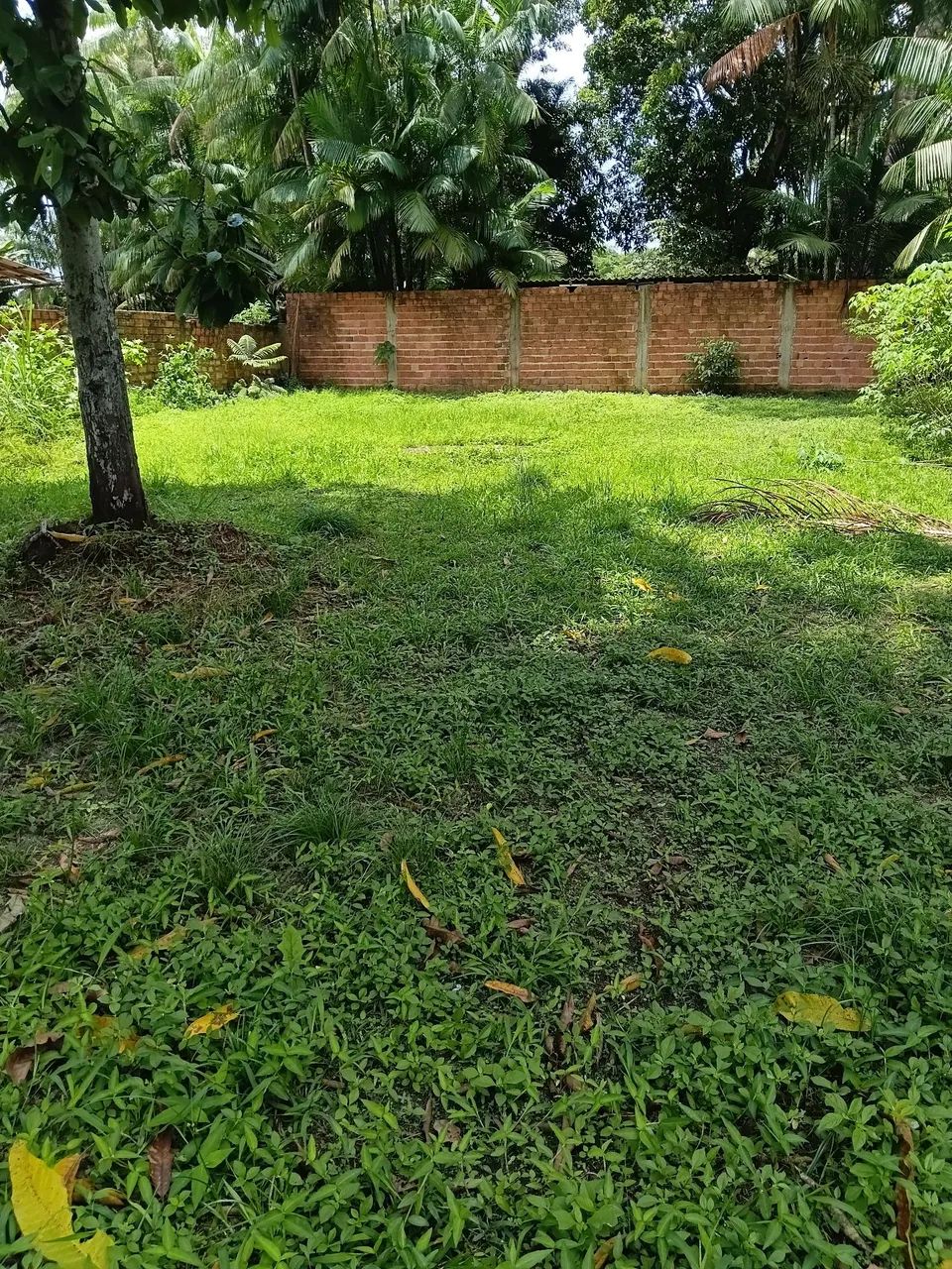 Terreno  - Foto 2