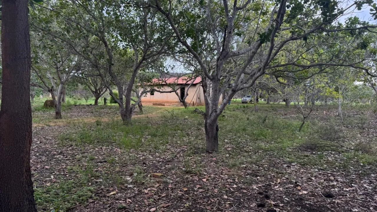 Vende-se Fazenda